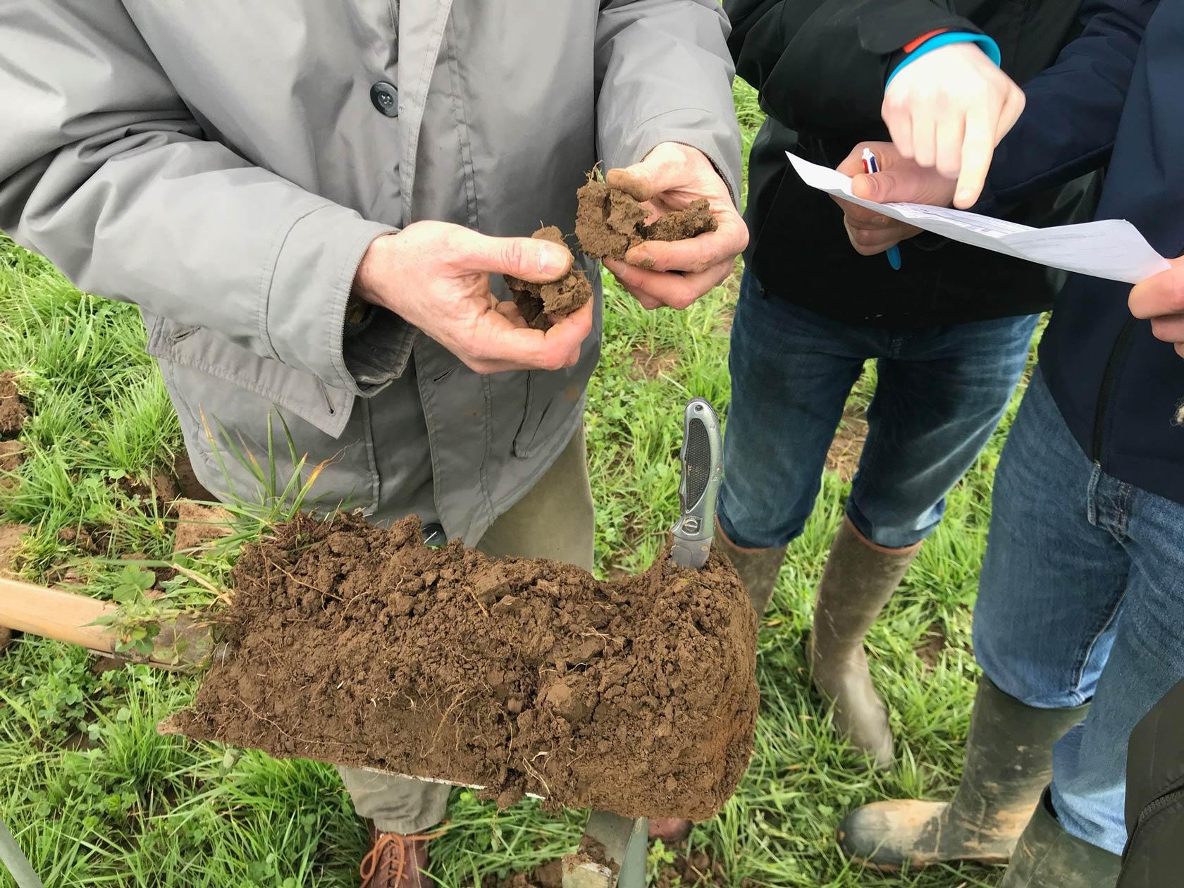 Asesorando a agricultores belgas en agricultura regenerativa
